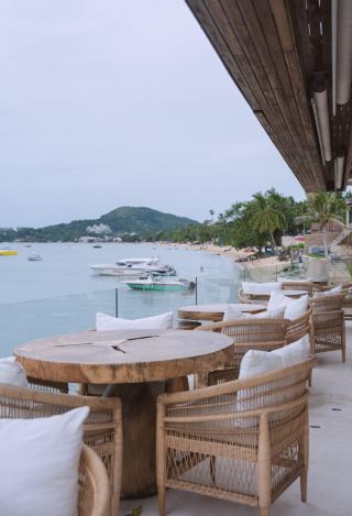 Zazen's Must-Visit Food Guide