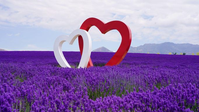 Help! The sunset at the Tianshan Flower Sea in Ili welds romance
