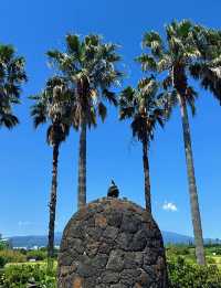 濟州島旅行非常舒適
