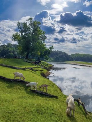 India’s Spellbinding Sights😍