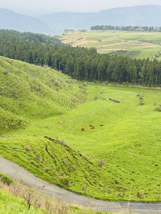 Japan Kyushu Self-Drive Tour, Instantly Falling into the Land of Oz