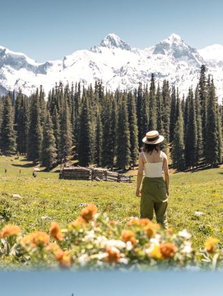 Xinjiang Yili Shata | a stunning symphony of snow-capped mountains and grasslandsØ