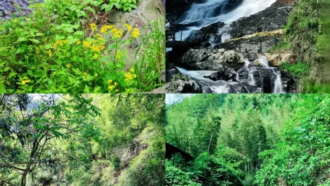 Hunan Tashan Grand Canyon | Summer lazy traveler money-saving quick guide! — traveler post in Changning