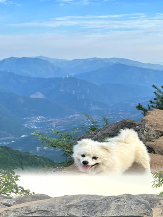 2026避暑遛娃神地！海棠山風景區度假模式開