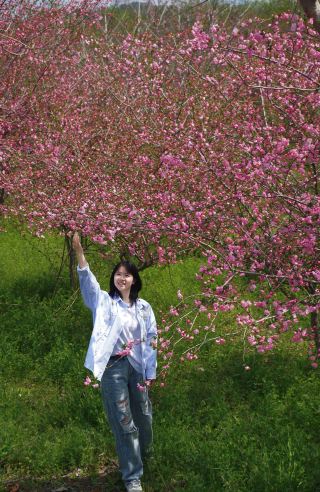 春に莫干山の三莫線へ、海棠の花の雨に出会いましょう！