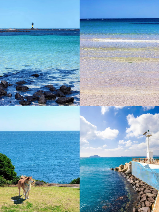 ゆゆ‼️ One day in Udo for 320 yuan: riding through turquoise waters | A