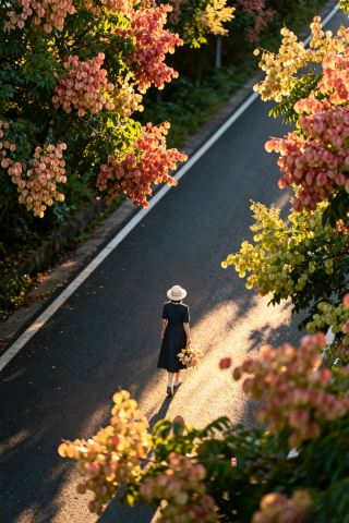 창수 환성서로 가을 한정! 루안수 대로가 너무 아름다워 범죄 수준이에요!