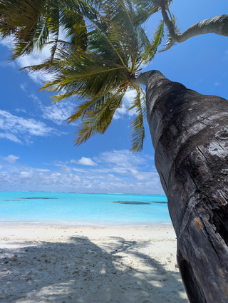 Dreamlike Stay at Villa Park Maldives
