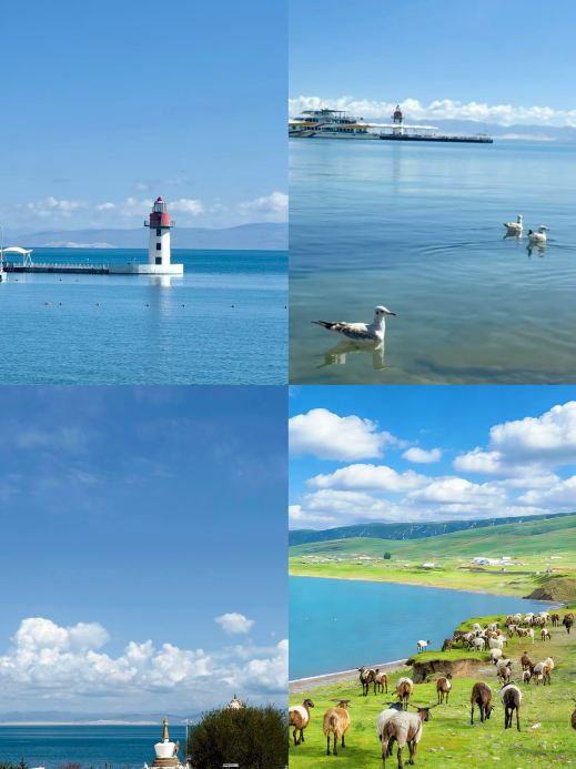 Just got back from Qinghai Lake, and I really wouldn't recommend