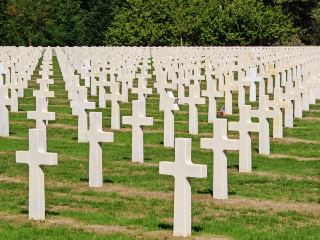 At the foot of the Vosges, they guard freedom