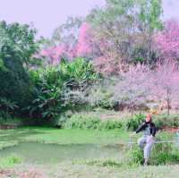ขุนวาง
