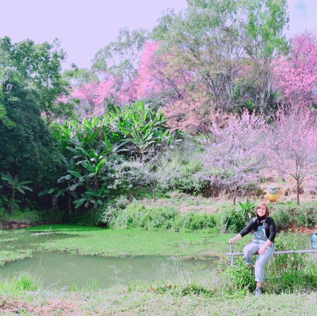 ขุนวาง