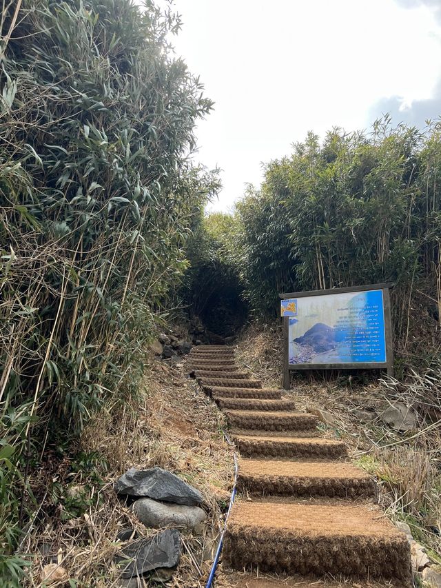 거제도여행에서 꼭 가봐야할 인생샷명소🤍 거제 구조라성