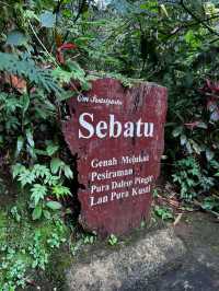 Purify Yourself at Sebatu Holy Water Spring