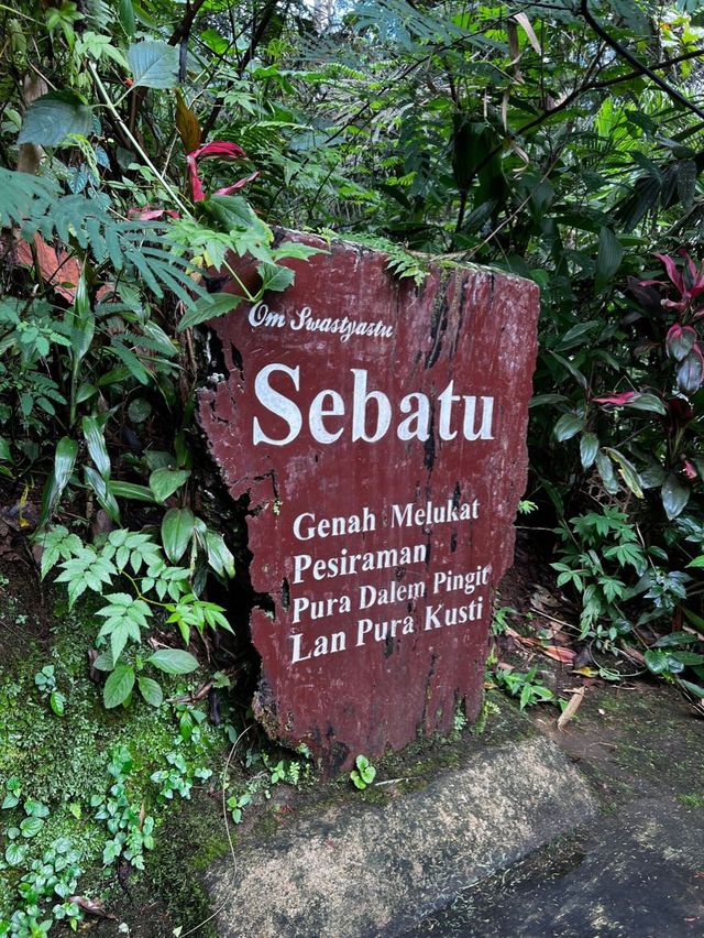 Purify Yourself at Sebatu Holy Water Spring