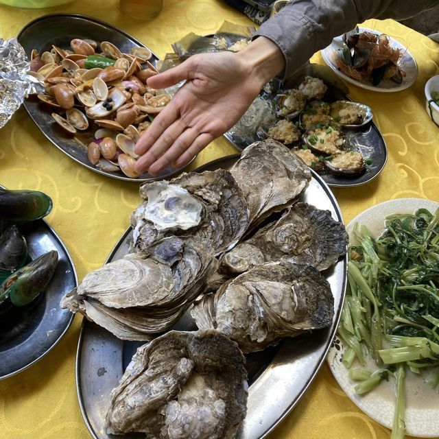 Oyster Mountain & loads of fresh seafood