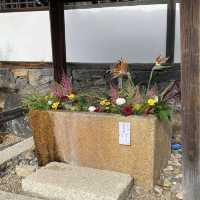 神秘古剎—日本京都宇治市「興聖寺」