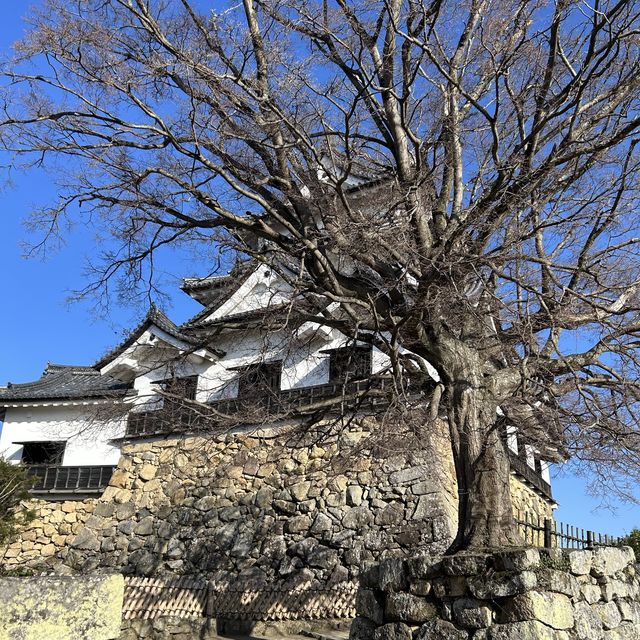 在古堡上鳥瞰古鎮