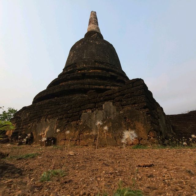 ปั่นจักรยานเที่ยวอุทยานประวัติศาสตร์ศรีสัชนาลัย