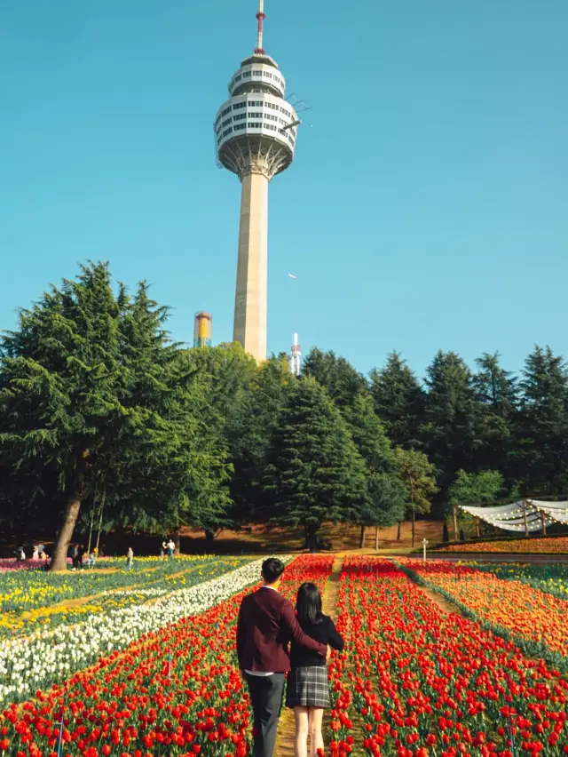 Shall we go to April's Everland where the tulips are pretty for a date course in Daegu? 💐