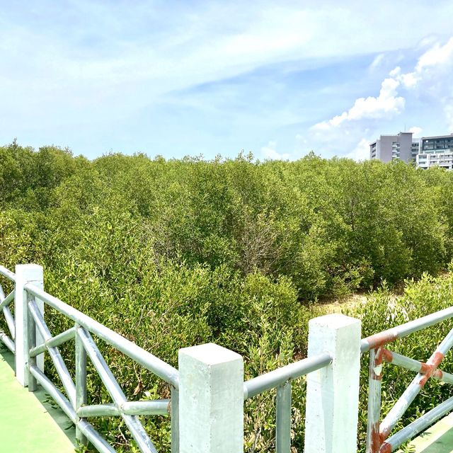 The Natural Trail