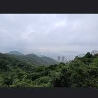 太平山頂 (The Peak)