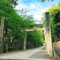 【香川】785段の石段登った先にある神社⛩️