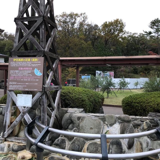 堂島🫶🏻 探索神秘藍洞❤️ 堂島洞窟遊覽船🤞🏻不一樣的體驗