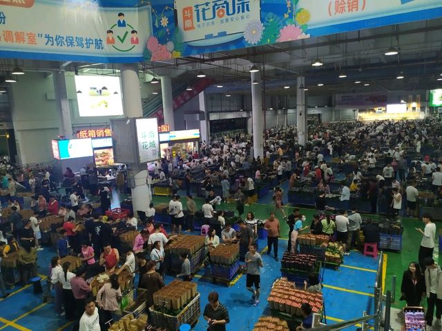 昆明-斗南花市(亞洲最大花市)-名不虛傳熱鬧到夜晚