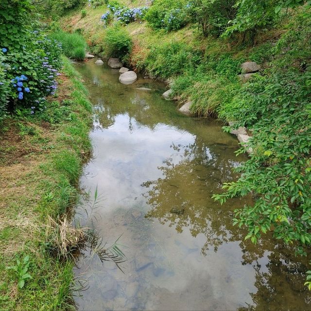 道の駅de愛ほっこり見山の郷　アユ釣り・夜はホタルの名所