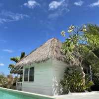 Mohini Resort & Cafe