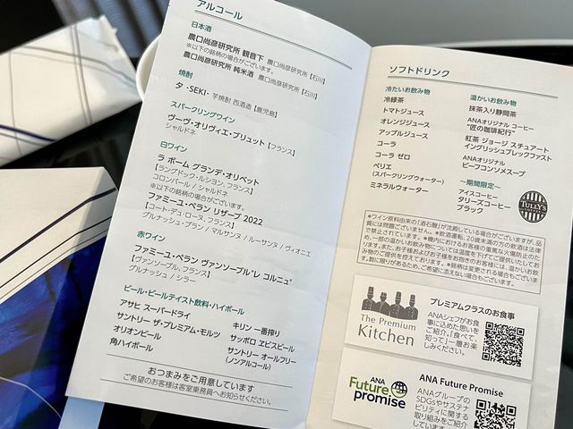 【NH】羽田→宮崎 プレミアムクラス✈️