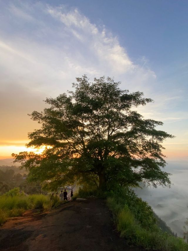 Enjoying Sunrise at Pinggan Kintamani Villag