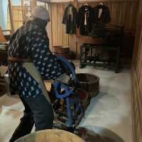 Interesting Seaweed Museum 