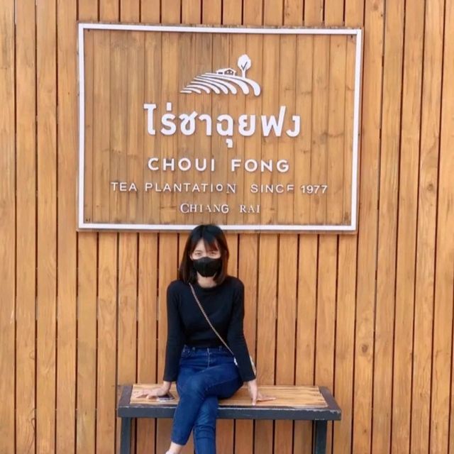 ไร่ชาฉุยฟง ณ เชียงราย