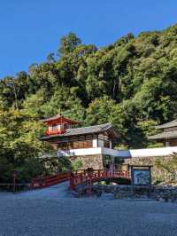 【大阪からスグ】秋ハイキングに最適!箕面公園