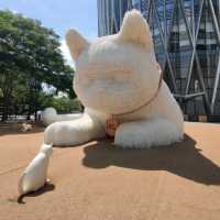 ✨打卡深圳灣萬象城巨型貓咪主題展🐱✨
