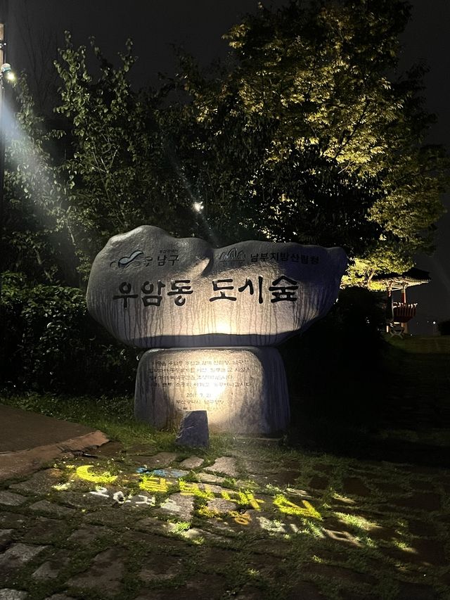부산 야경명소