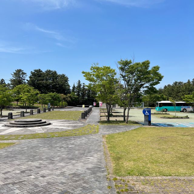 🇰🇷 Jeju Museum of Art
