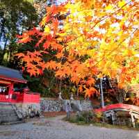 飛騨東照宮 紅葉スポットのご紹介