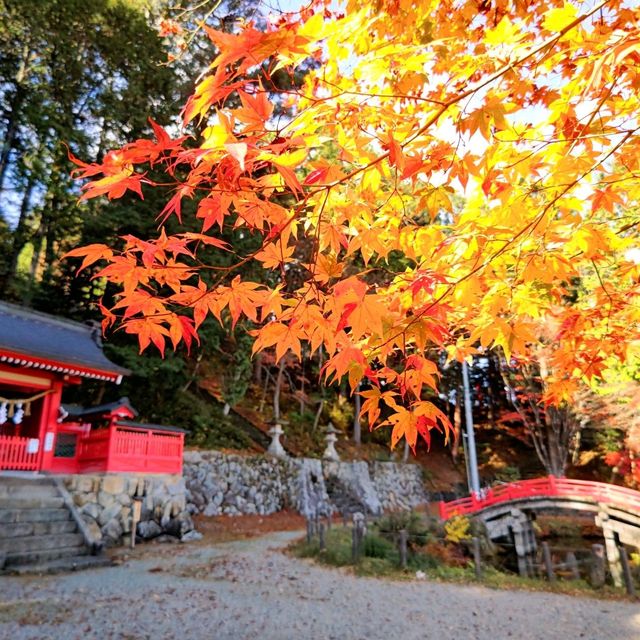 飛騨東照宮 紅葉スポットのご紹介