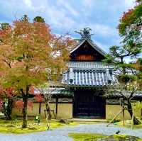 Autumn Splendor at Eigen-ji Temple