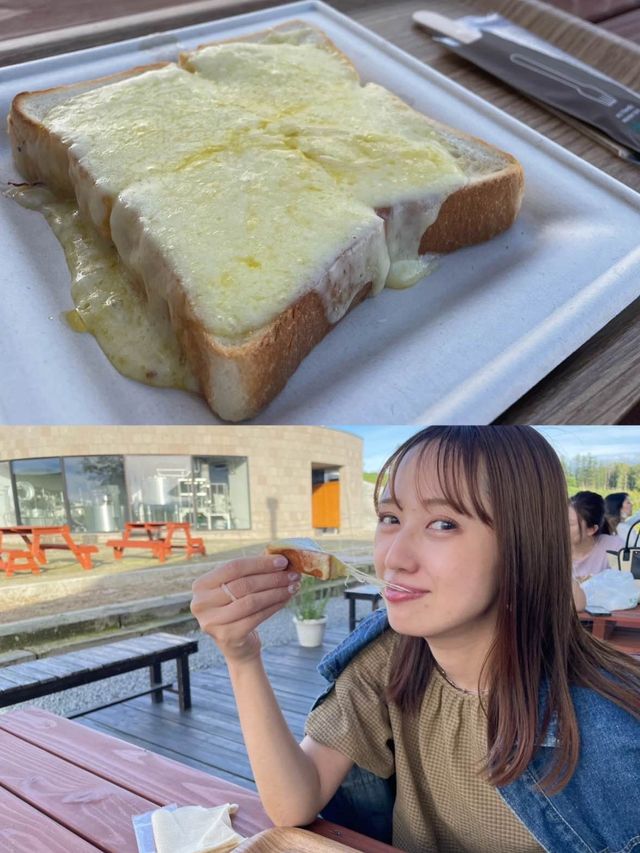 美瑛で行きたい🤍絵本に出てきそうな美しい牧場🐄‪🌱‬🥺【北海道】