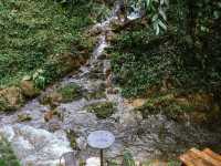 คาเฟ่กลางป่า @Atlantis Valley