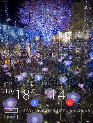 [A must-visit this winter! 😳] Ashifurano's illuminations are so beautiful! 🎄✨