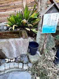 【埼玉越谷】写真スポットがたくさんある越谷香取神社