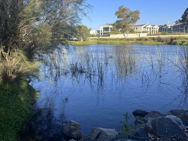 Lake Douglas, Swan Canning Riverpark😎📸🤩