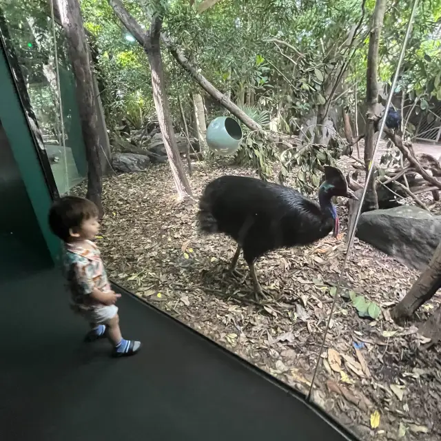 Sydney zoo