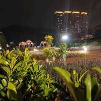 Old Taipa 