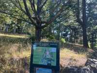 Dunedin Botanic Garden 但尼丁市區植物園，野餐散步好地方